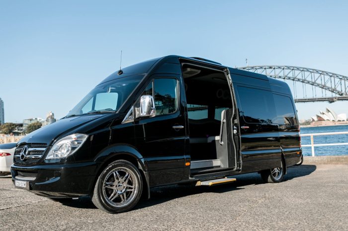 sydney party limo 3-1